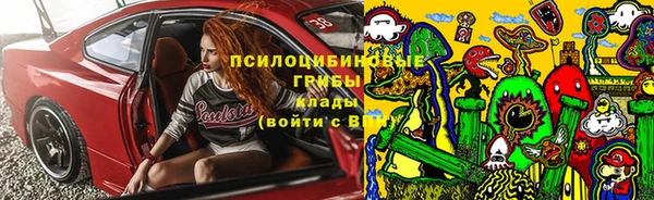 ешки Богородск