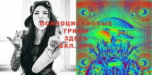 стаф Тавда
