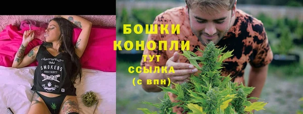 хмурый Богородицк