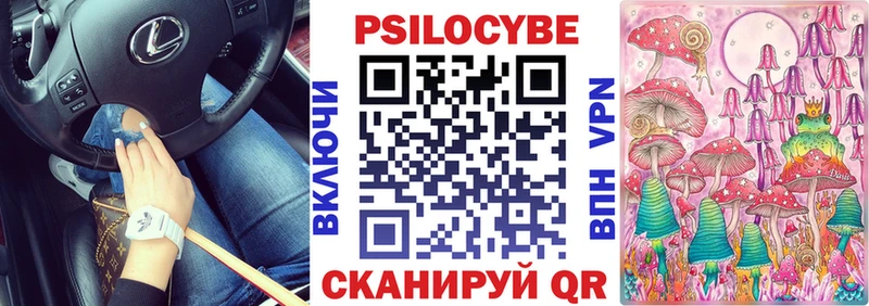 сколько стоит  Конаково  Псилоцибиновые грибы Psilocybe 
